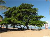 Carolina Beach - CAROLINA